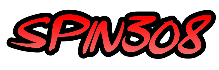 LOGO SPIN308